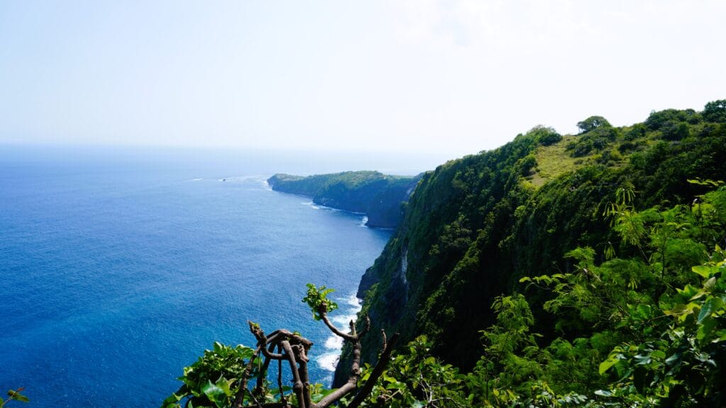 Master Stress and Boost Mental Wellness