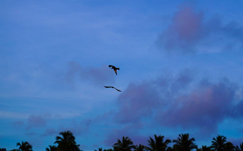 How to Protect Your Mental Health