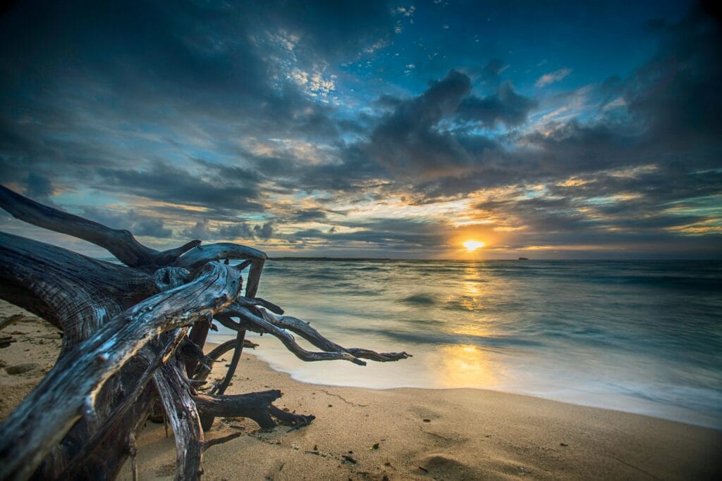 Breathing Exercises to Calm the Mind